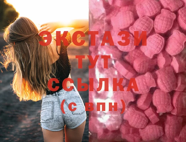 ECSTASY Богданович